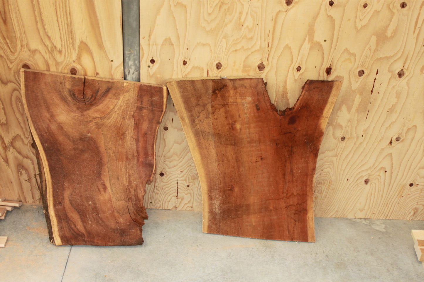 Wood Blank - Koa Wood