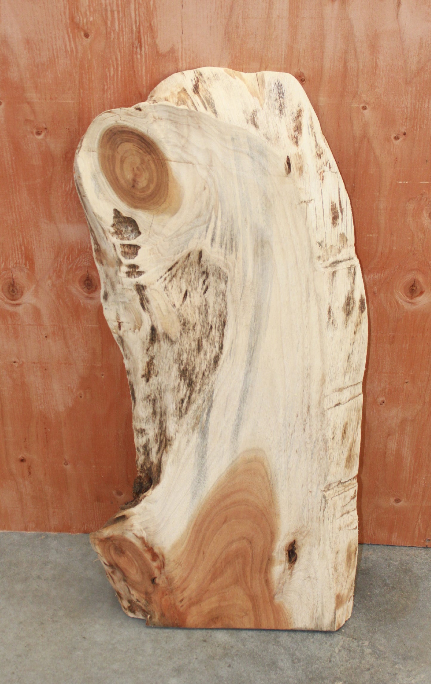 Wood Blank - Koa Wood