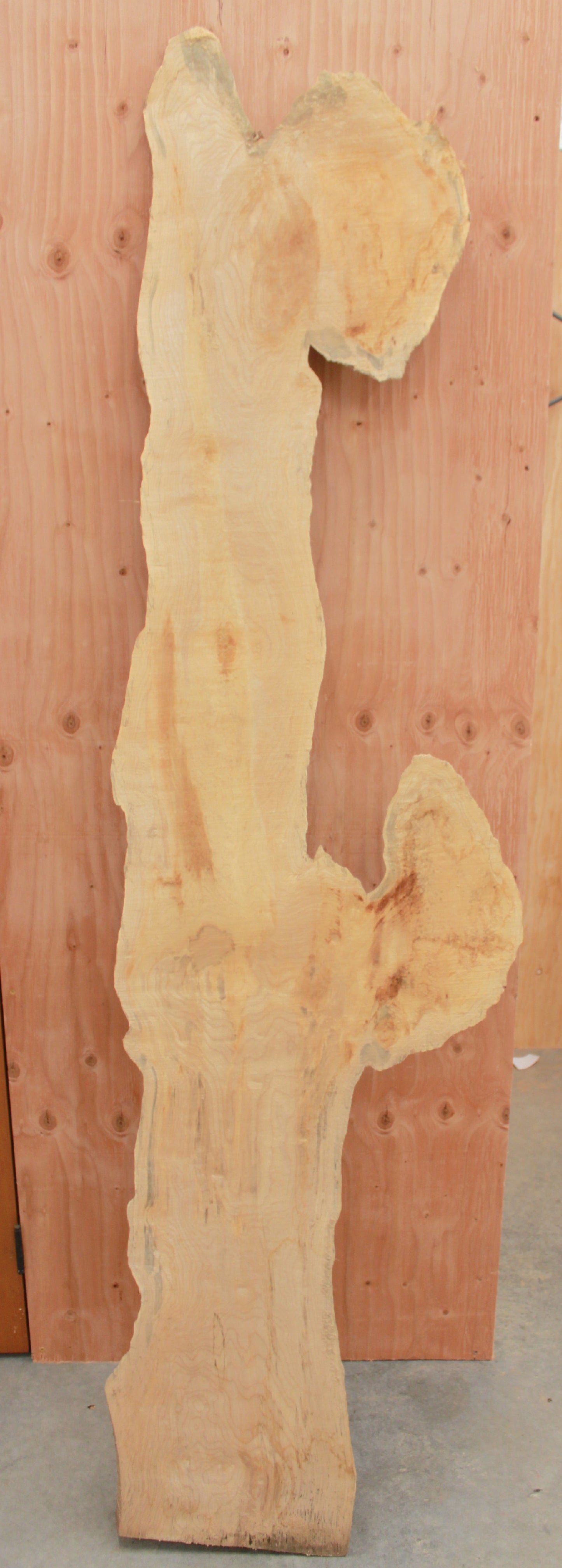 Wood Blank - Tall blanks