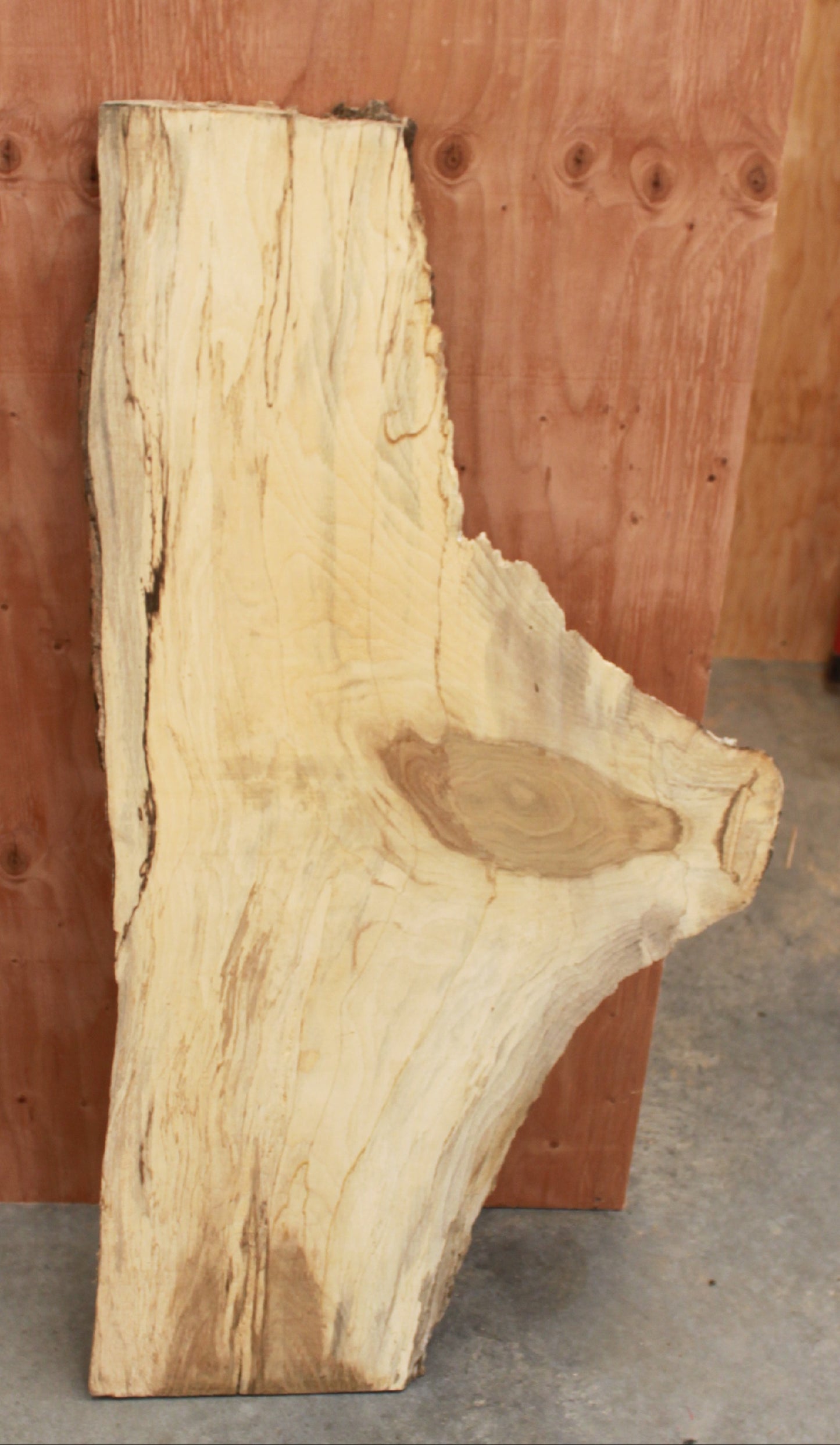 Coffee Table - Spalted Maple