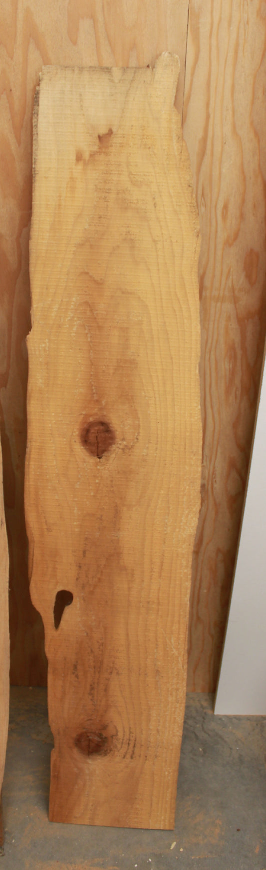 Wood Blank - Hickory blank