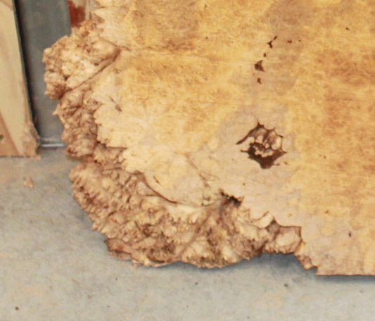 Wood Blank - Burl Maple