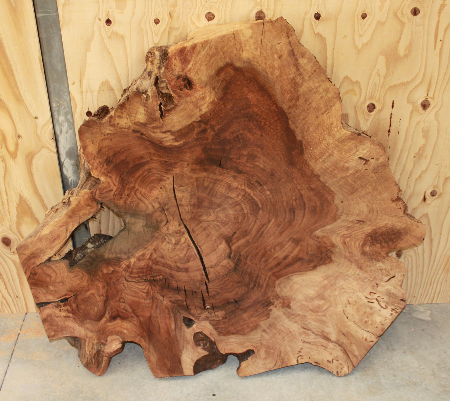 Wood Blank - Claro Walnut