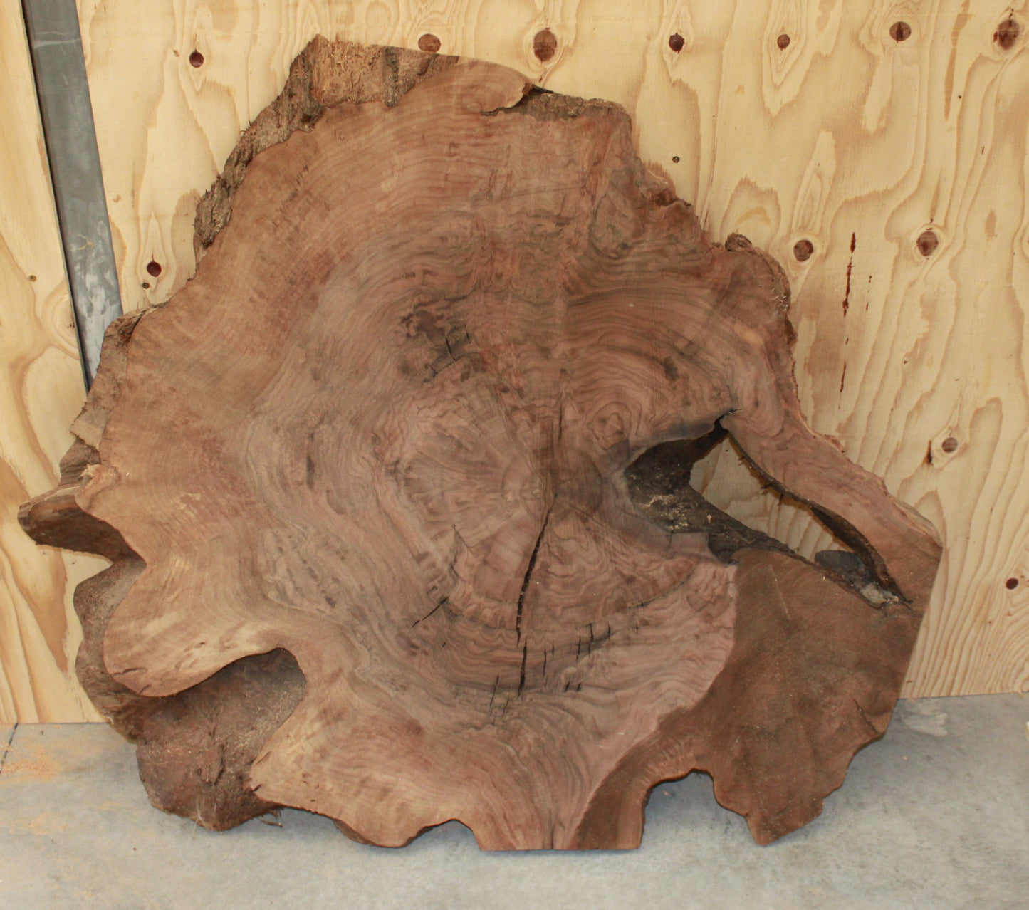 Wood Blank - Claro Walnut