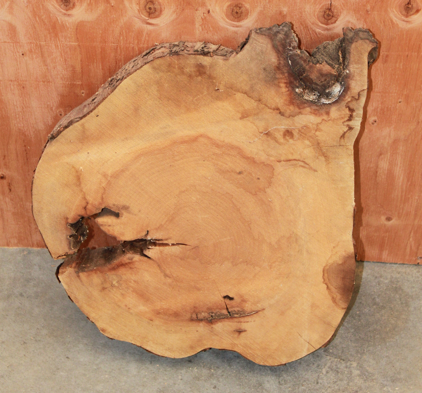 Wood Blank - Maple Cookie