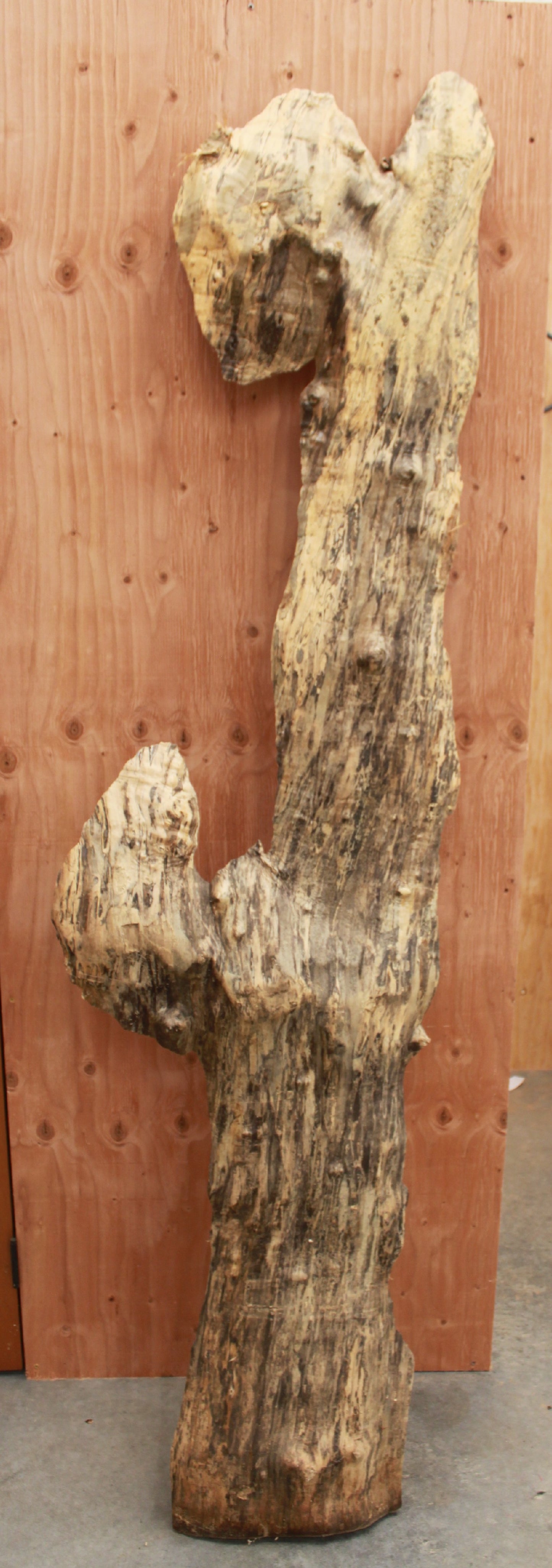 Wood Blank - Tall blanks