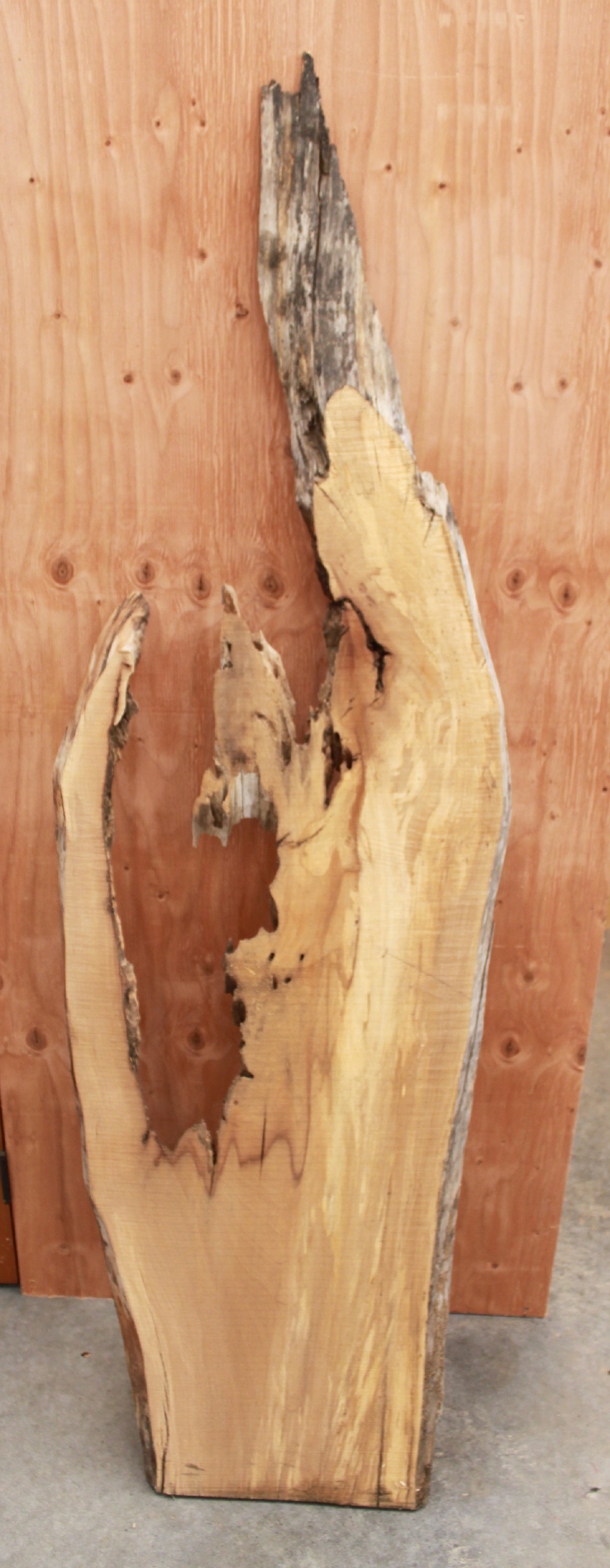 Wood Blank - W blank