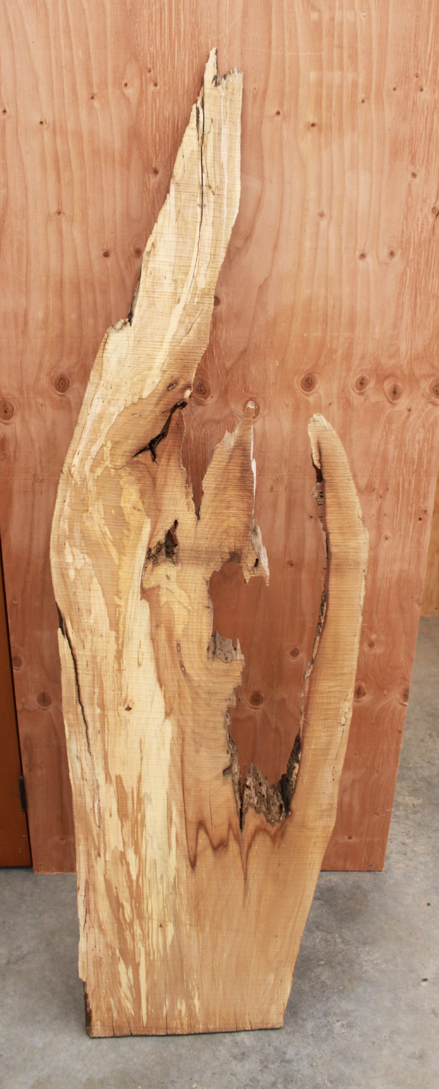 Wood Blank - W blank