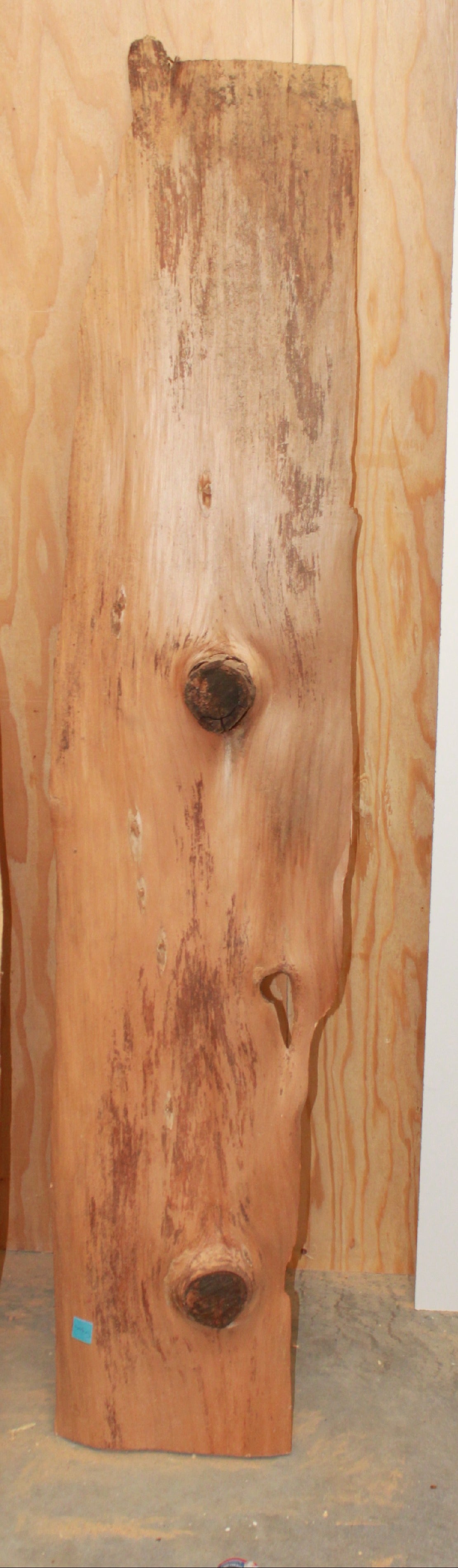 Wood Blank - Hickory blank