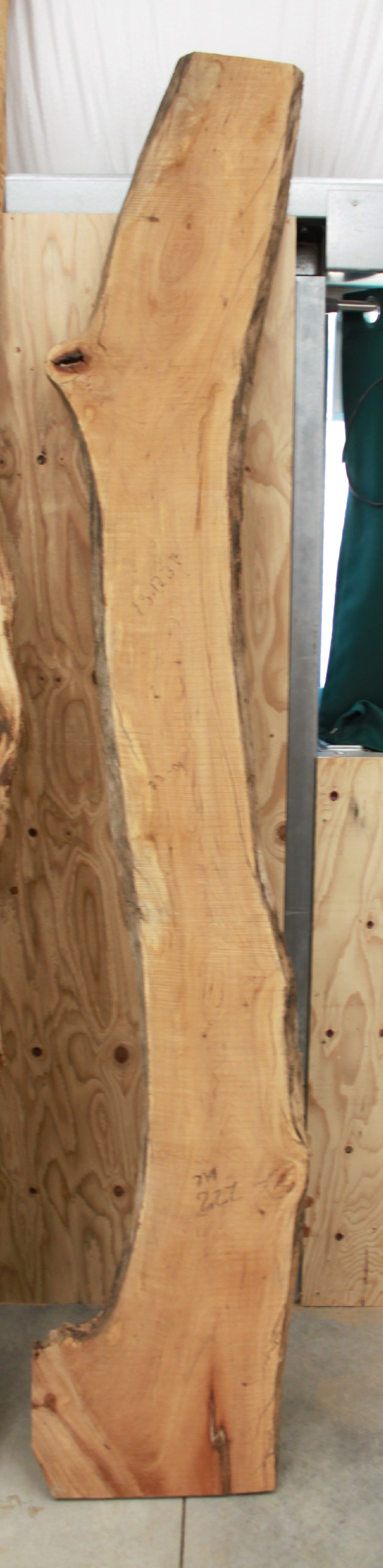 Wood Blank - Tall blanks